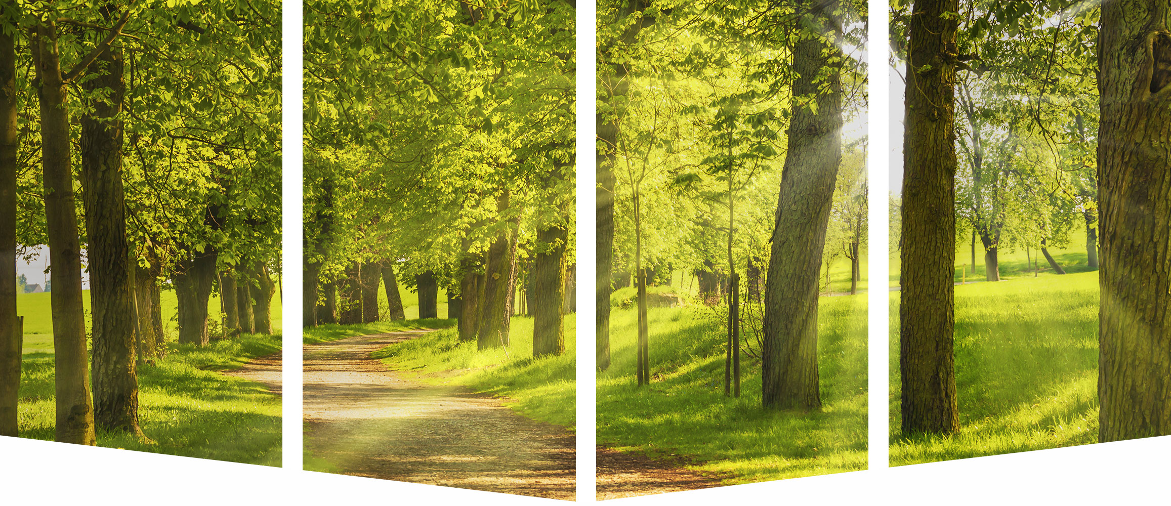 Personaldienstleistungen Dr. Stern Berlin GmbH - Life Coaching